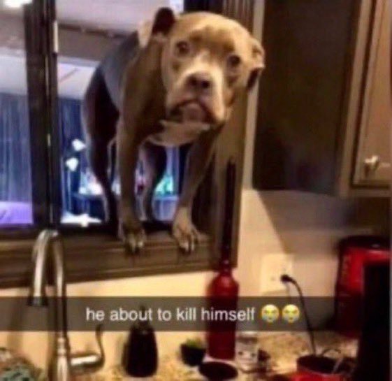 the things i would do just to kiss his collar bone