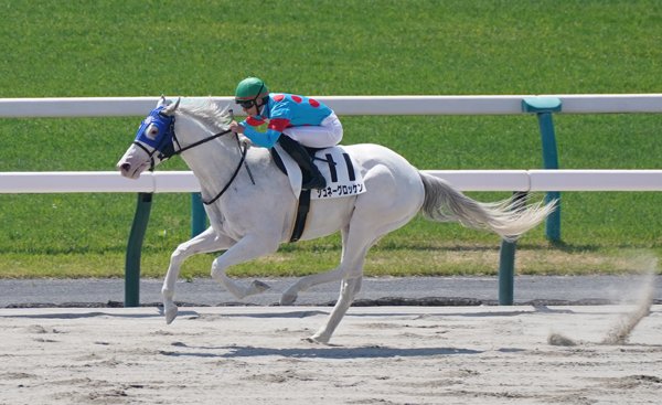 週刊Gallop(Weekly Gallop) on X: 週刊Gallop(Weekly Gallop) on X:
