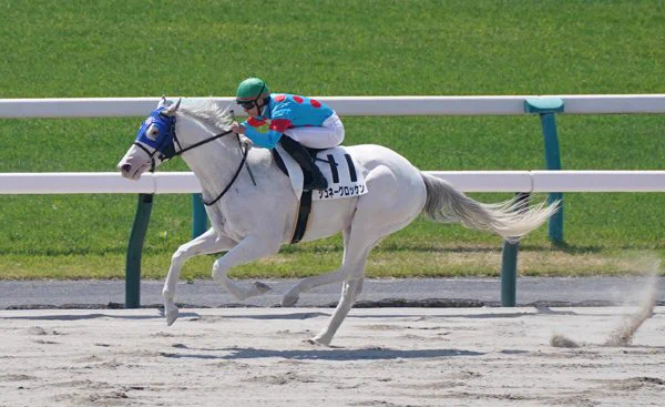 週刊Gallop（Weekly Gallop） on X: 