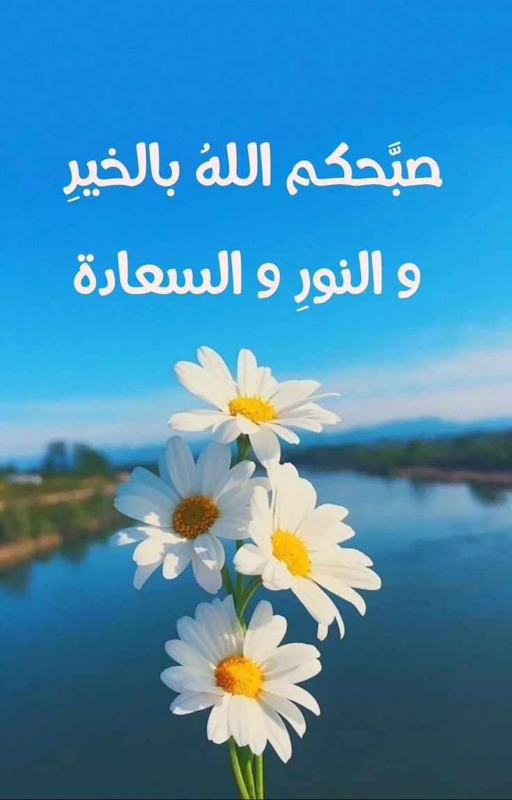 autms5's tweet photo. #صباح_الخير ✨📷
. 
. 
. 
#صباحيات #صباح_الخير_والسعاده #صباح_الأشياء_المُشرقة #صباح__الخيرِ #صباح_الخير_والحب_والسلام #صباح_الخير_والحب_والسلام https://t.co/QXkakHeyKo