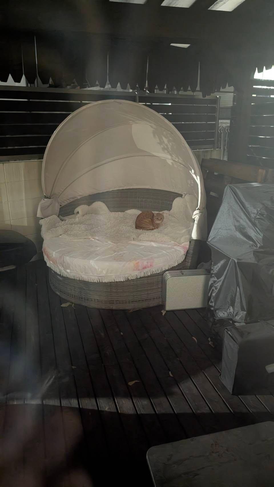 置物(幸福象さん婦夫)