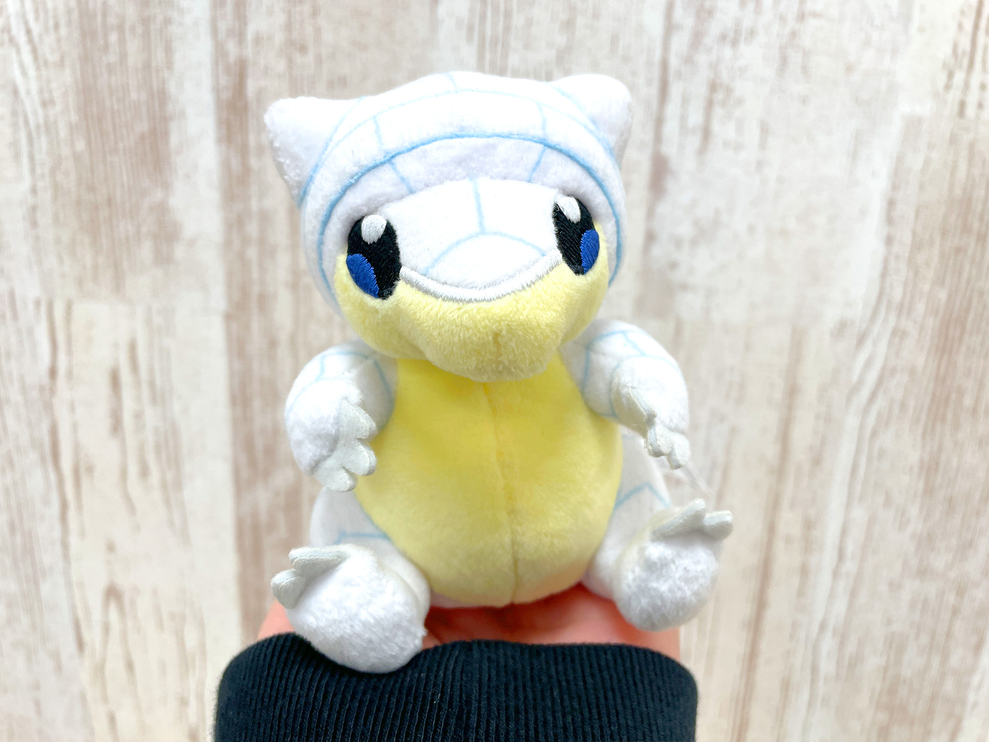 ポケモンだいすきクラブ編集部【公式】 on X: 