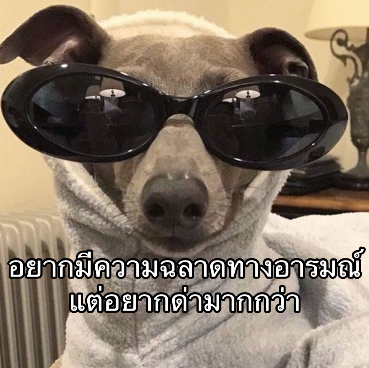 ใครสักคนกล่าวไว้ tweet media