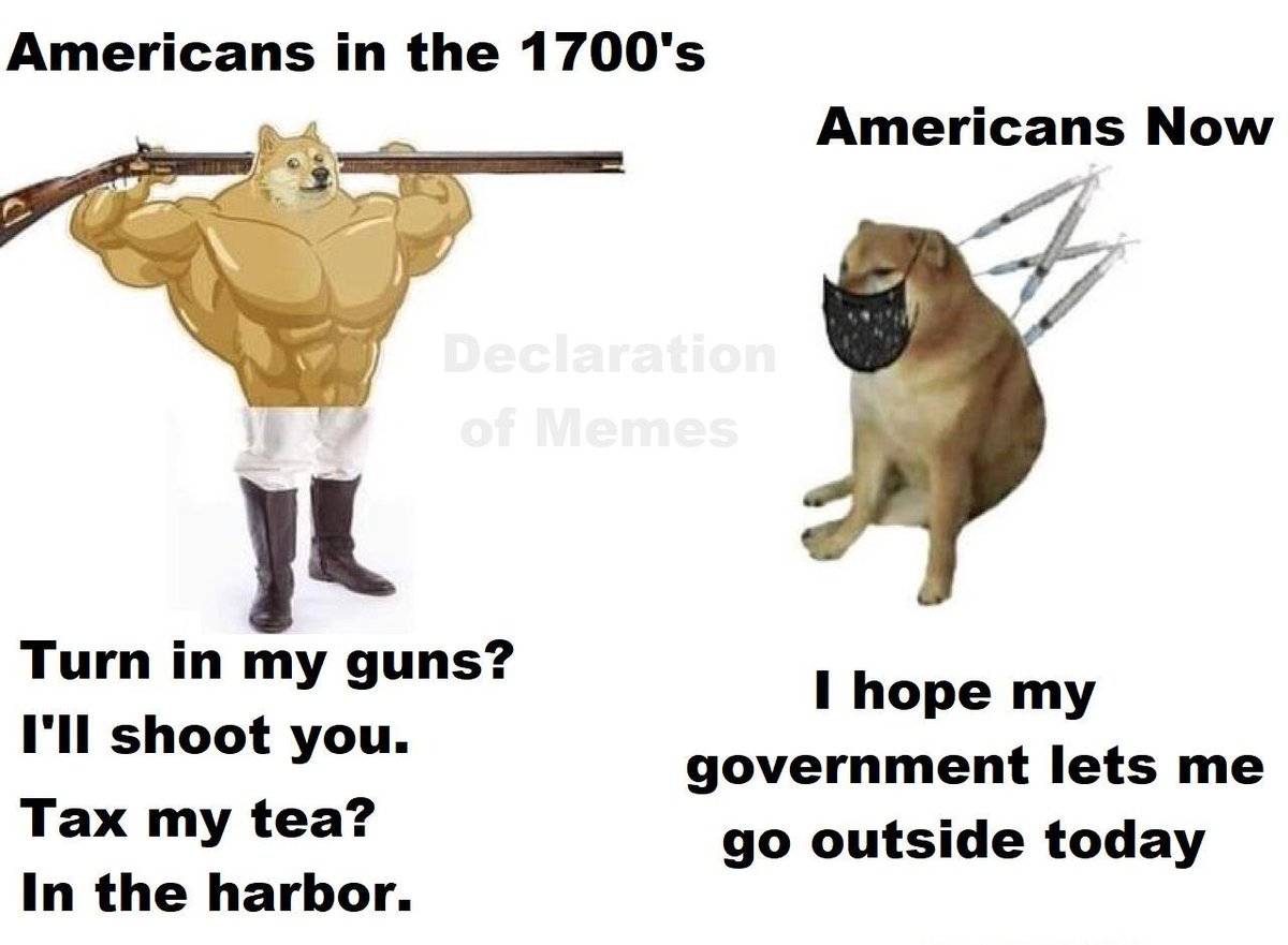 Where did we go wrong?