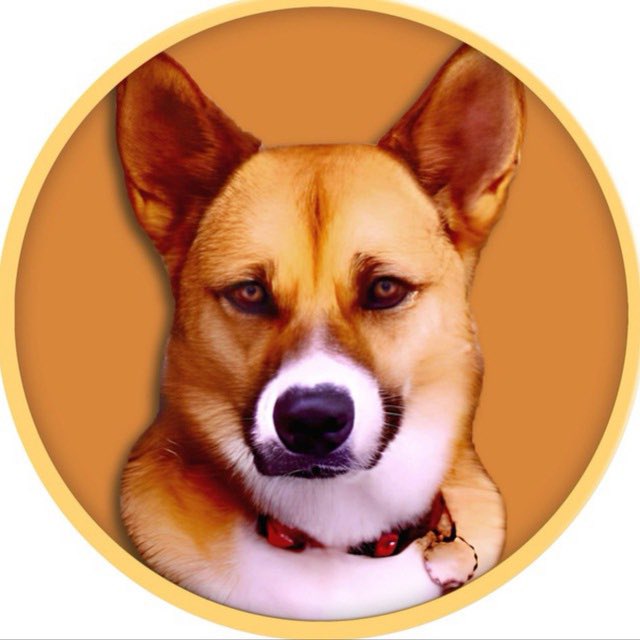 Before $DOGE 
Before $NEIRO
Before $COCORO

There is $KEN

$KEN is the OG of the OG’s. 

0x7316D973b0269863BbfeD87302e11334E25eA565

x.com/kabosumama/sta…