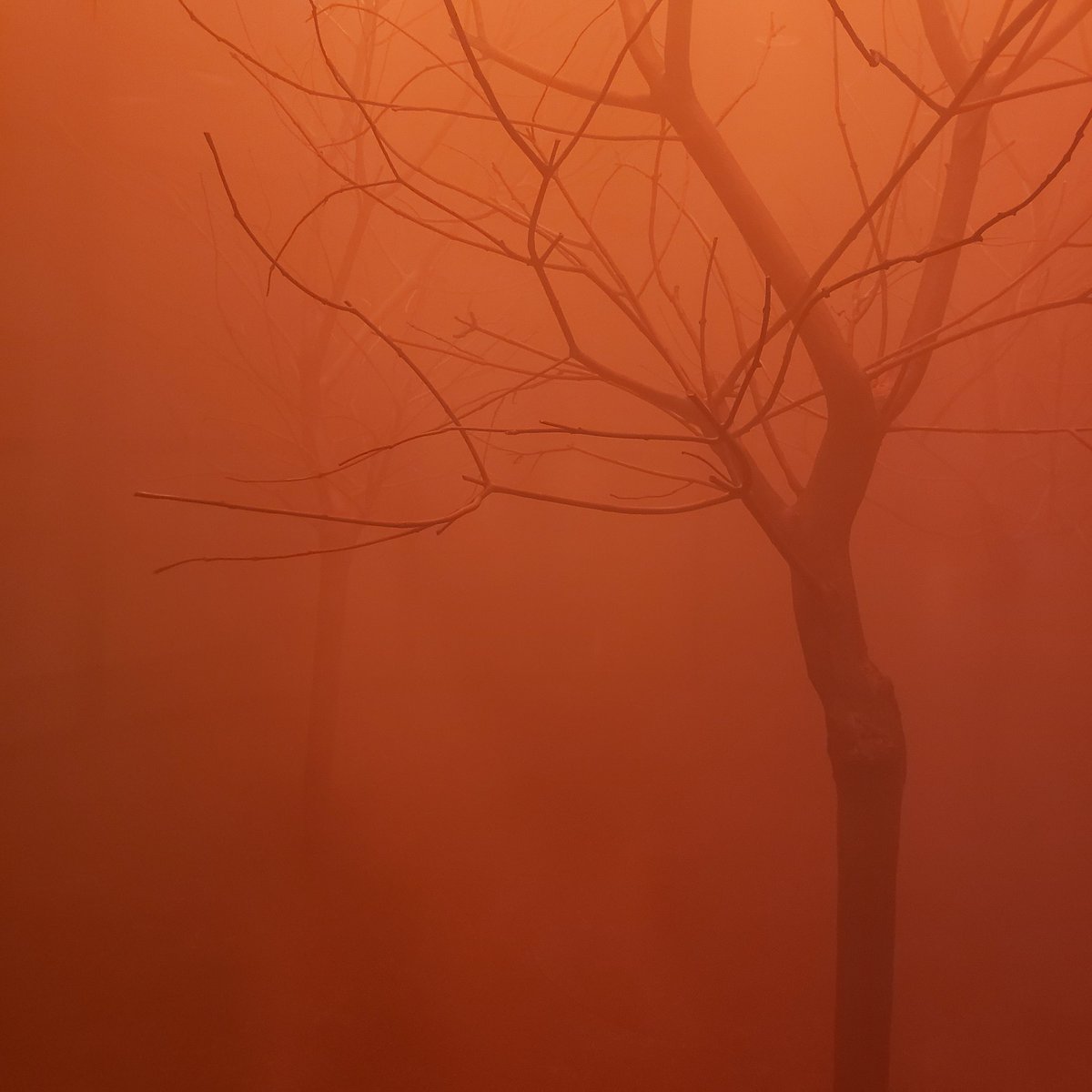 annaleekeefer (@annaleekeefer) on Twitter photo 