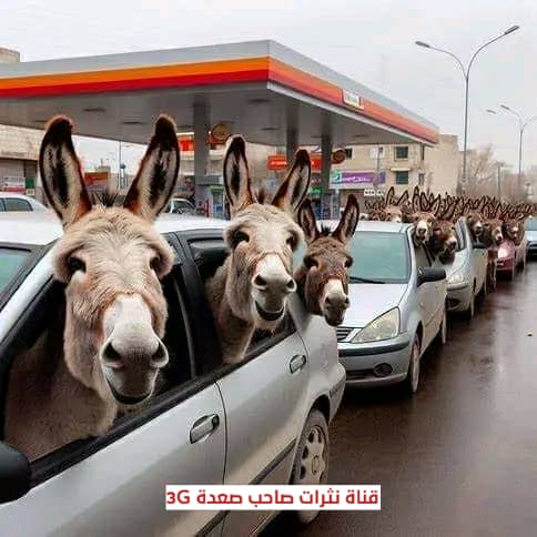 وصلوا وصلوا  #قادمون_ياصنعاء 
وين جايت البنت ذي قالت باتتزوج اول جندي يدخل يحرر صنعاء 😂
ذلحين تختار لها اي واحد يعجبها حض ونصيب 😂😂😂🤣🤣
