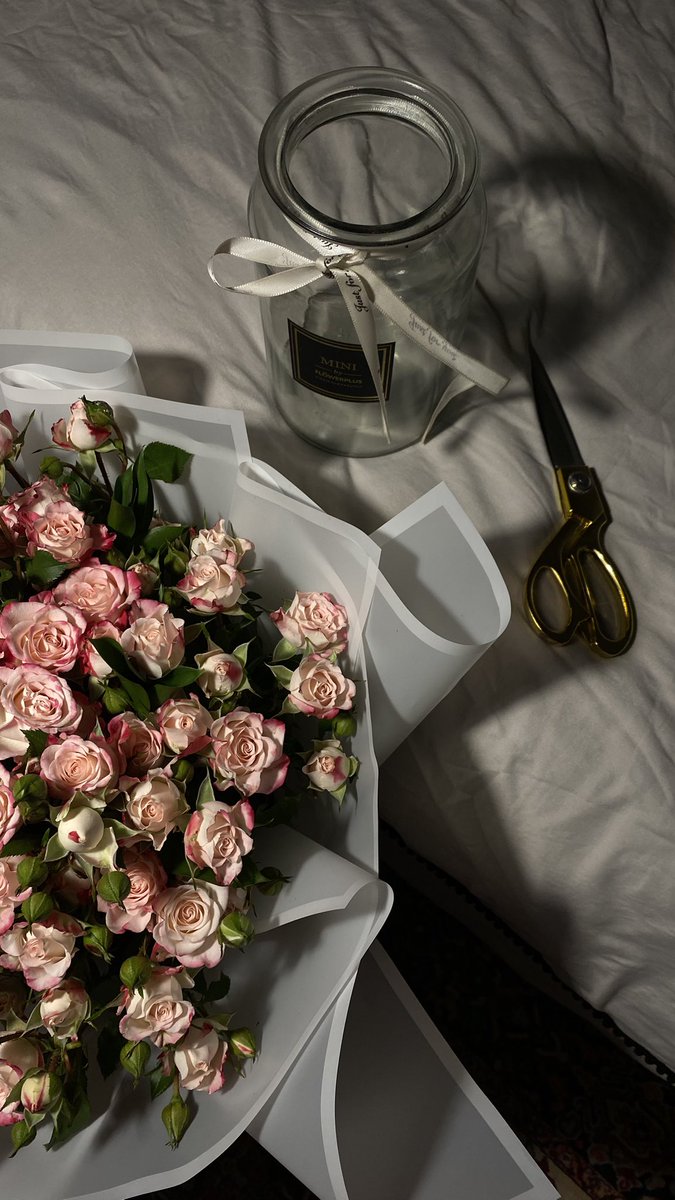 H1a_9's tweet photo. 🌷🌷 https://t.co/6DXuQUV2Lr