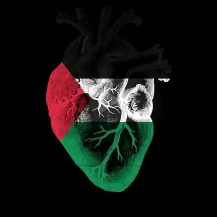خوشی سے جھومتا ہے لاس اینجلس
سکون میں ہے شارجہ
چہک رہا ہے انقرہ
چمک رہا ہے برمنگھم 
ریاض بھی ہے چین سے
پریم گیت دہلی میں تو محوِ رقص ماسکو 
ہے پُر بہار ٹوکیو
ہر ایک شہر دیکھ لو
ہر ایک شہر دیکھ کر بتاؤ
کیا کسی میں کچھ حیا بھی ہے
اسی جہانِ مست میں
کہیں کوئی غز ہ بھی ہے۔۔
🩶💔