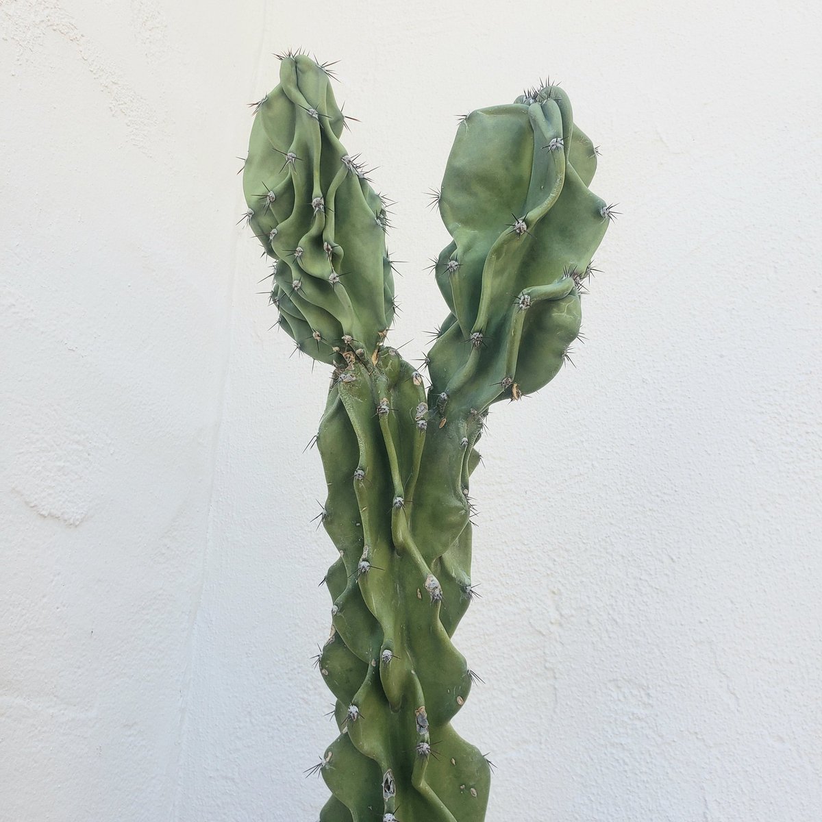 annaleekeefer (@annaleekeefer) on Twitter photo 