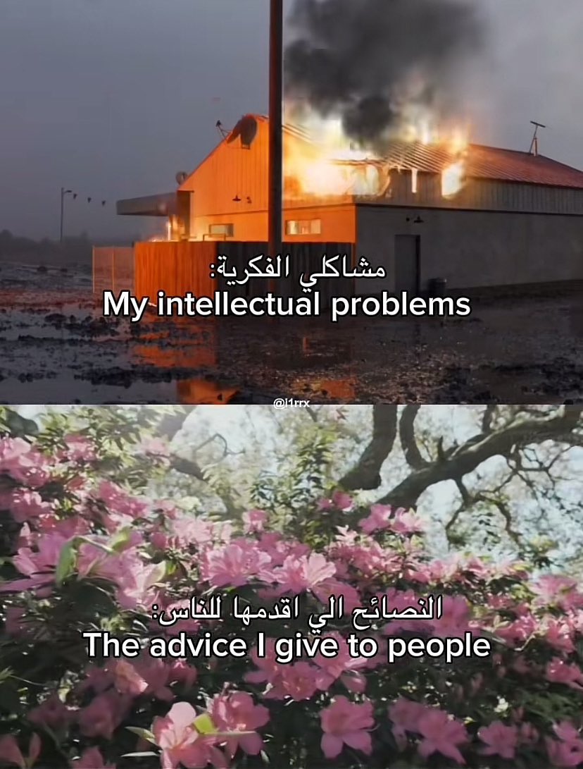 i meme it (@egymeme11) on Twitter photo 