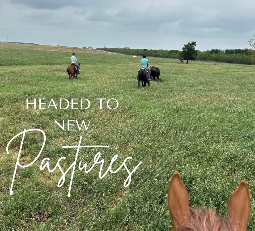 I took a personality test for my banking career some time ago and it said the famous person most closely related to my results is Michael Jordan. I am very determined and I have an addiction for competition and success. I work tirelessly at my craft and I push others to get to