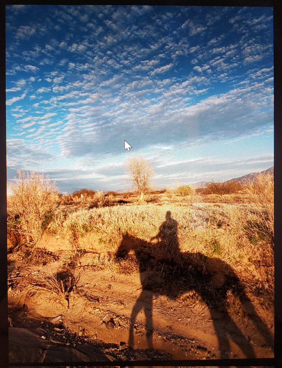 annaleekeefer (@annaleekeefer) on Twitter photo 