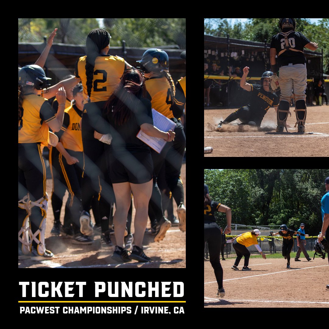 dominicansports's tweet photo. TICKET PUNCHED 

SB punches their ticket into the PacWest Championships in Irvine CA next week‼️‼️ Stay tuned 💪

#GoPengs https://t.co/NS0VDY29QC