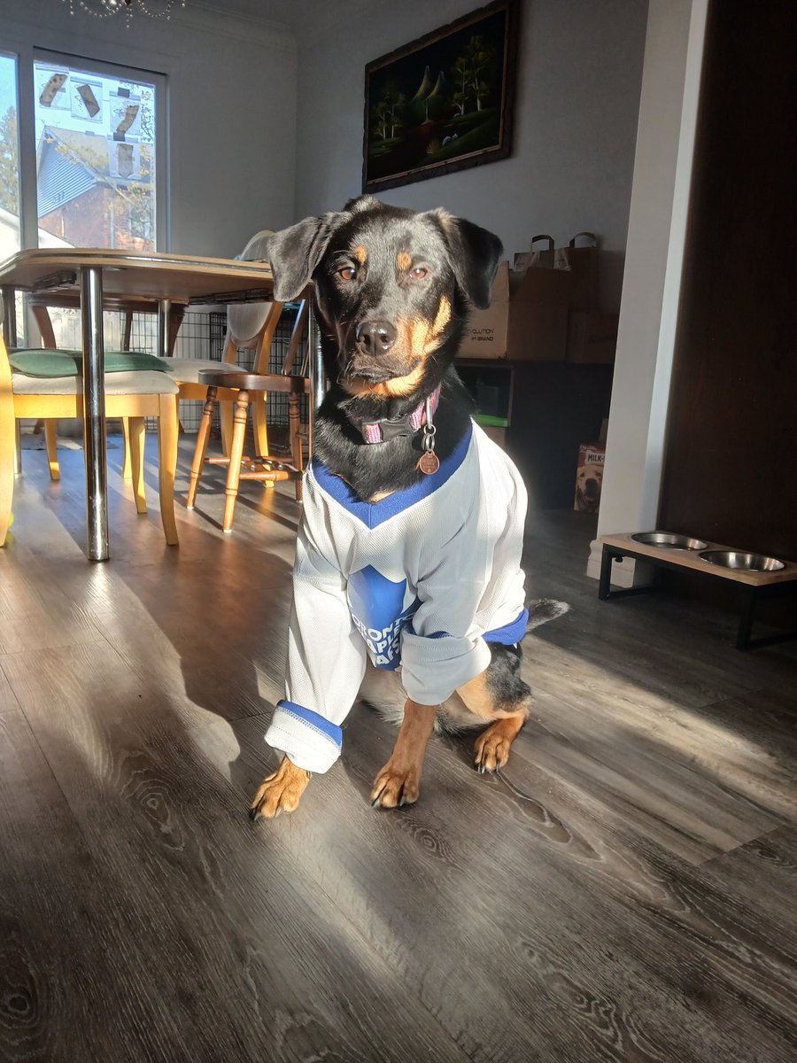 dunkferd's tweet image. #LeafsForever