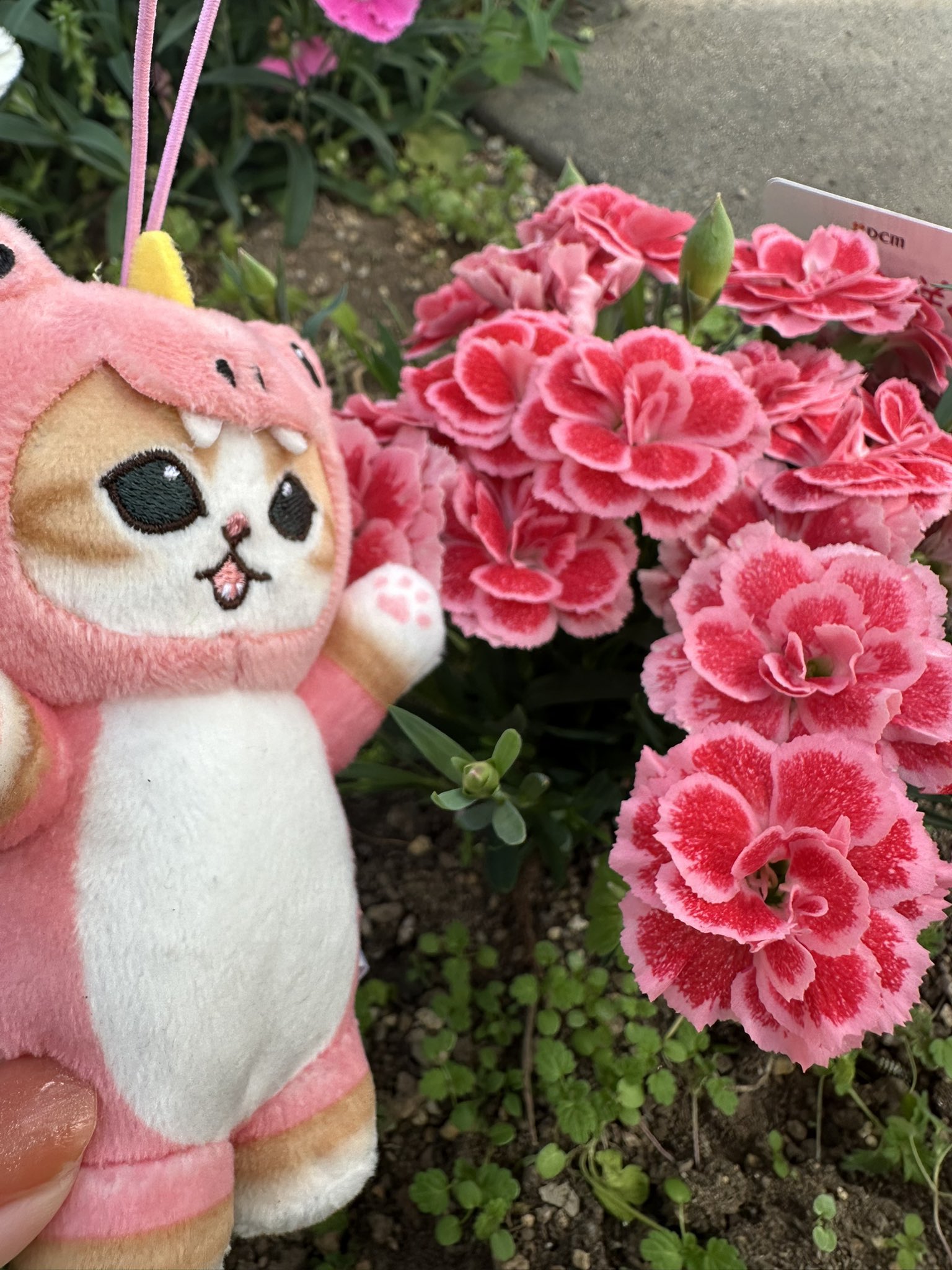 お花にこちゃんアレンジタグ メグえもんさん