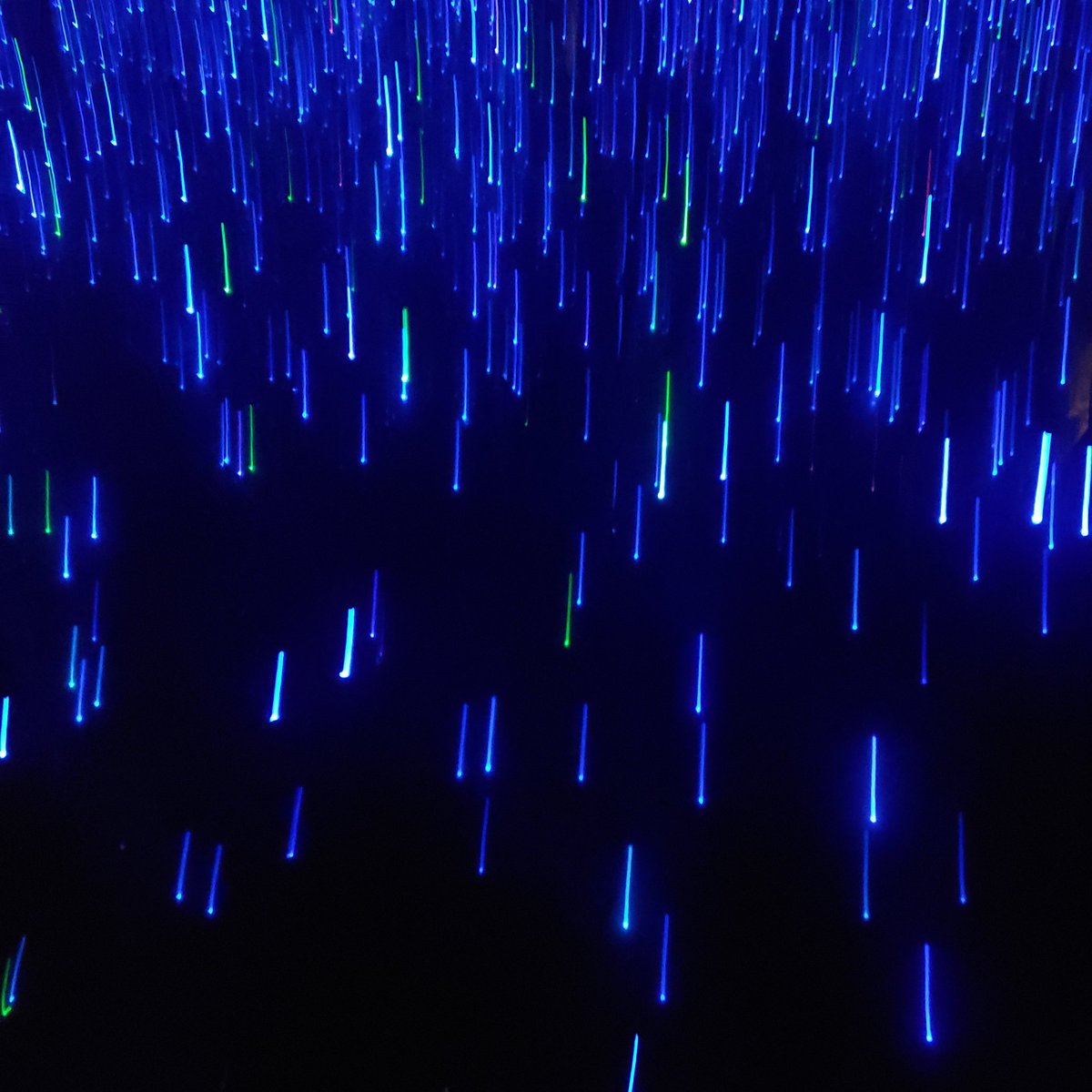 annaleekeefer (@annaleekeefer) on Twitter photo 