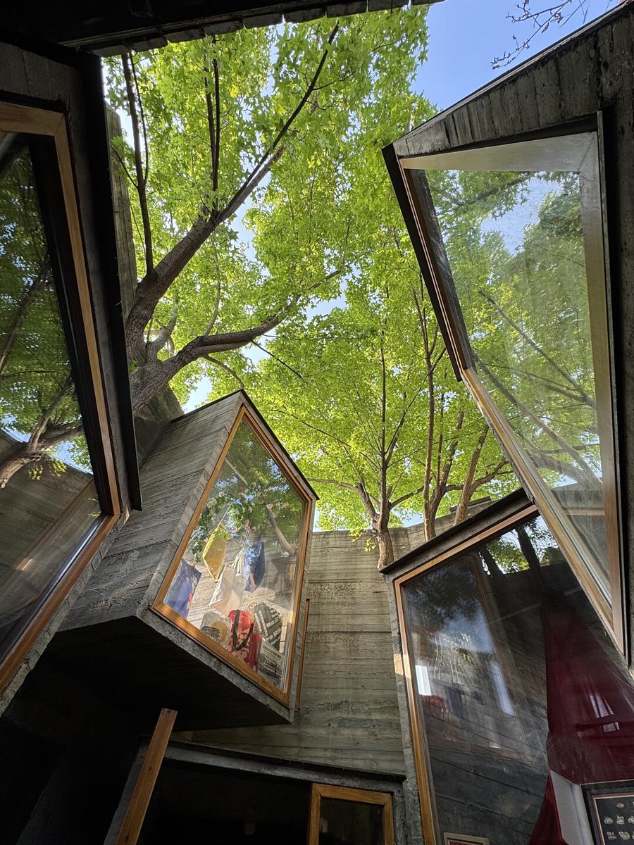 The beauty in the alley.