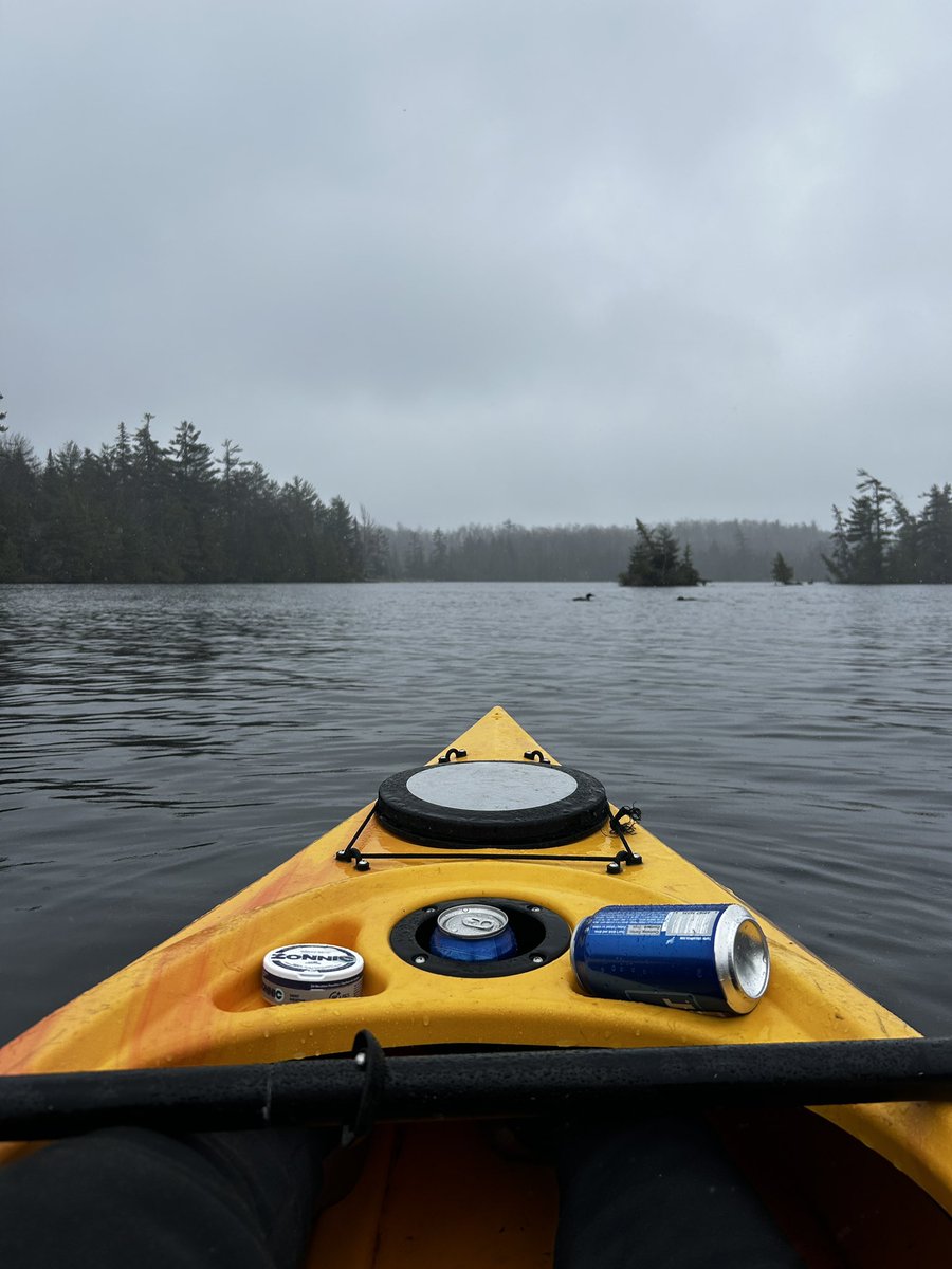 🆕🤡💵 tweet media