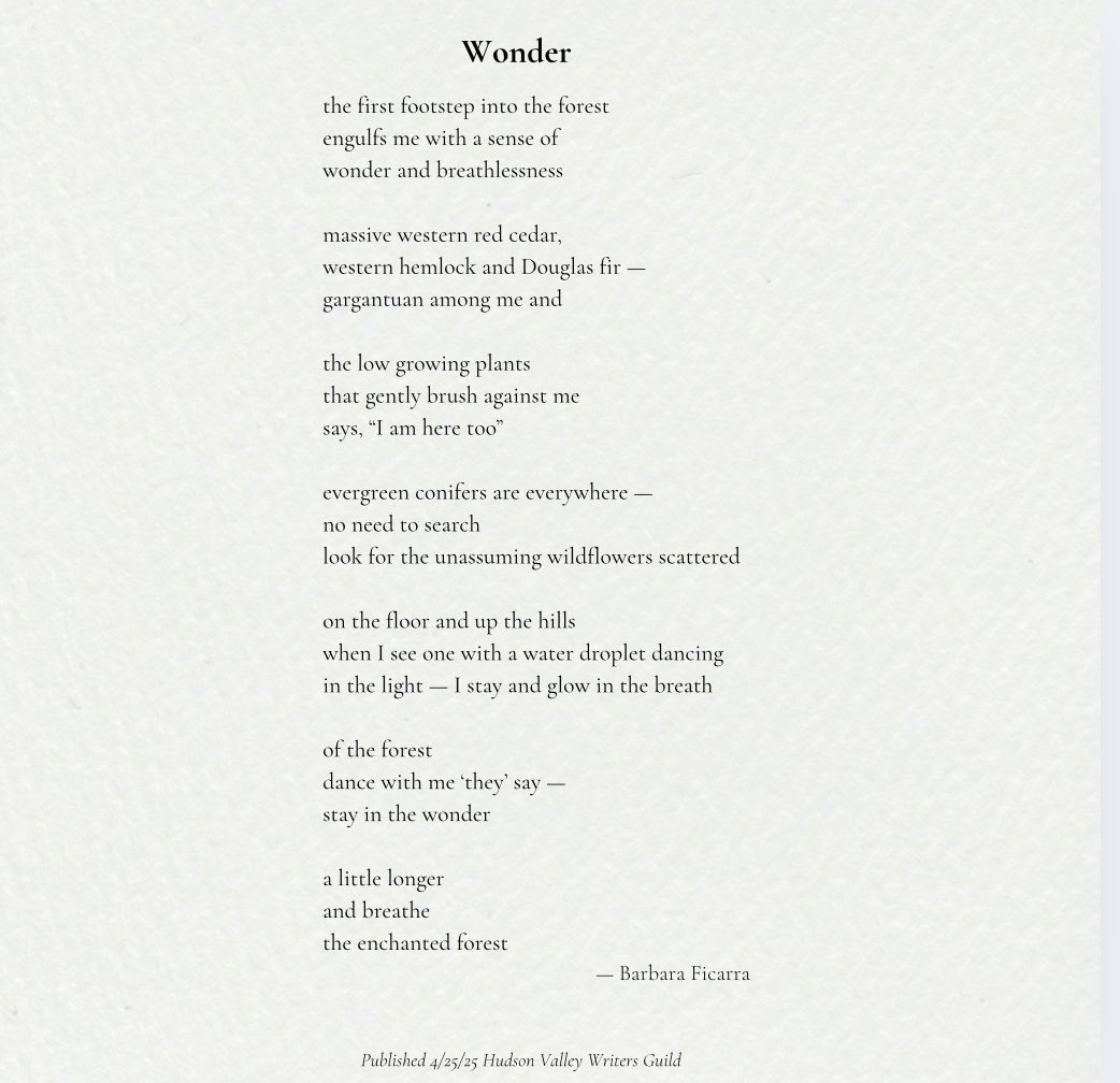 New poem — “Wonder” inspired by nature. 

Published by the Hudson Valley Writers Guild 

#poem #poetry #writing #amwriting