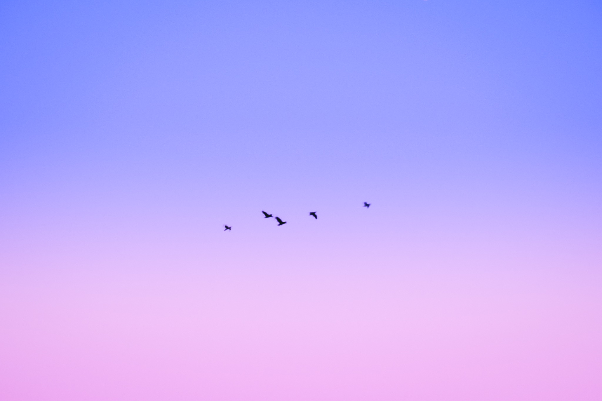 𝑇𝑎𝑘𝑢 (@taku_photo47) / X