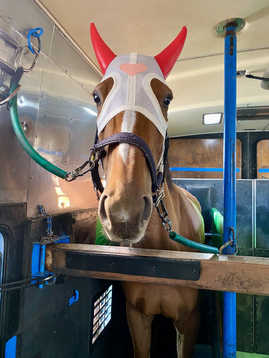 #ニャンニャン 水沢競馬場へ🚌💨