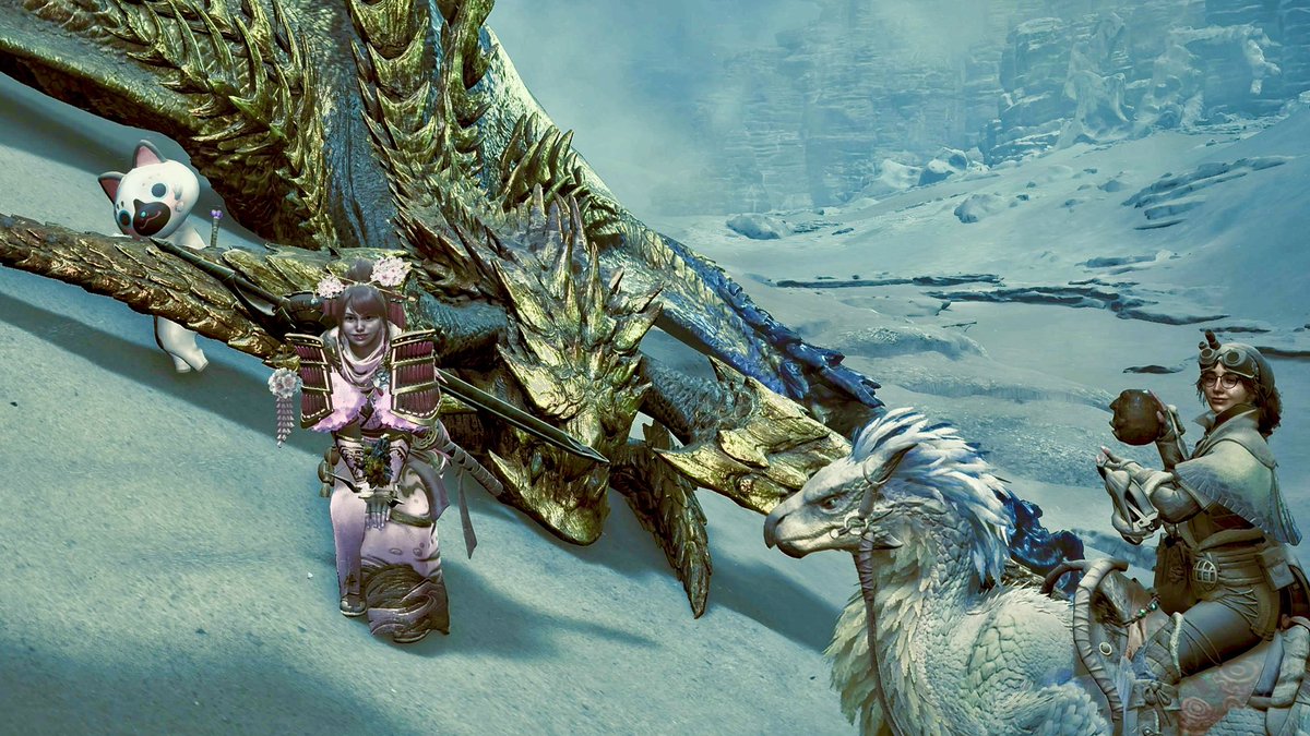 KyleFFXIV's tweet photo. 歴戦王レ・��ウのシミュレーション
完了‼️
これで行ける、はず✊
#モンハンワイルズ https://t.co/BOaqwHltXr