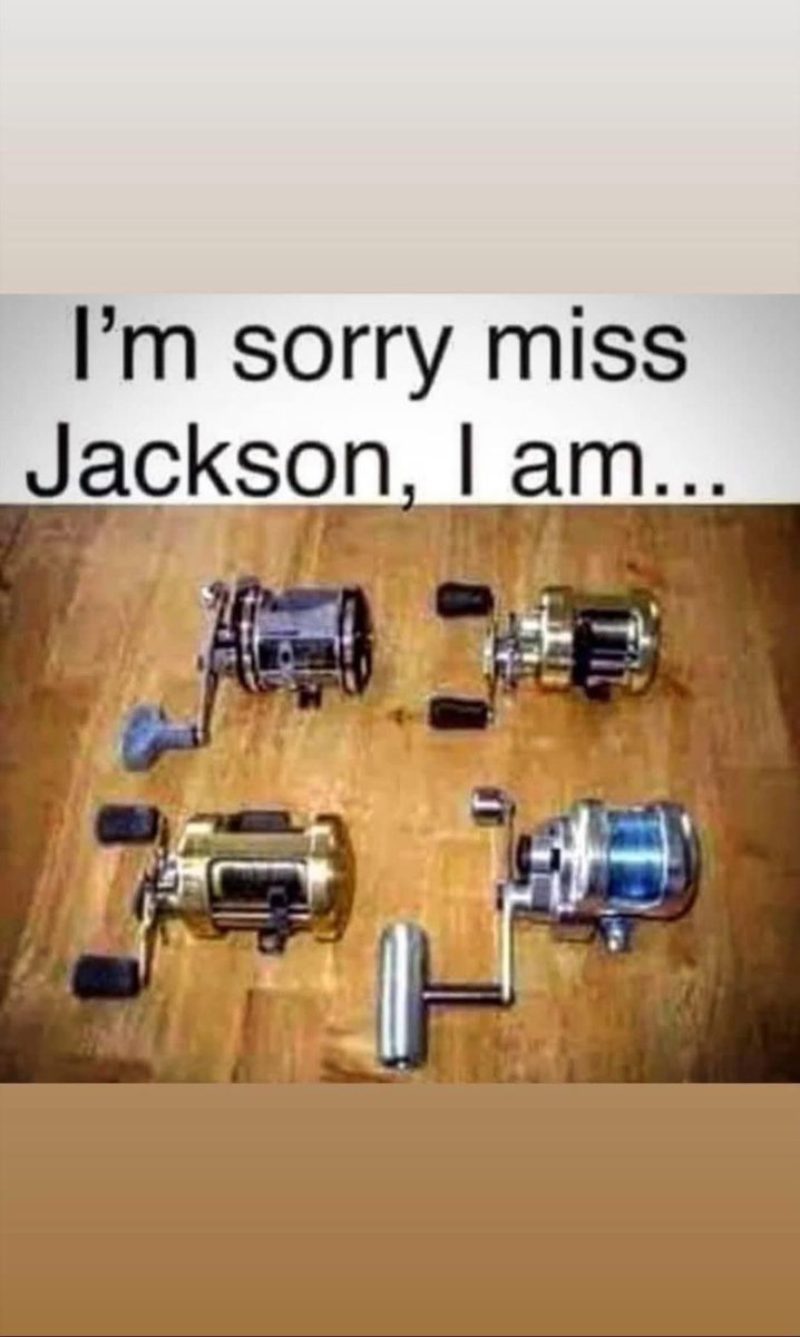 🎣