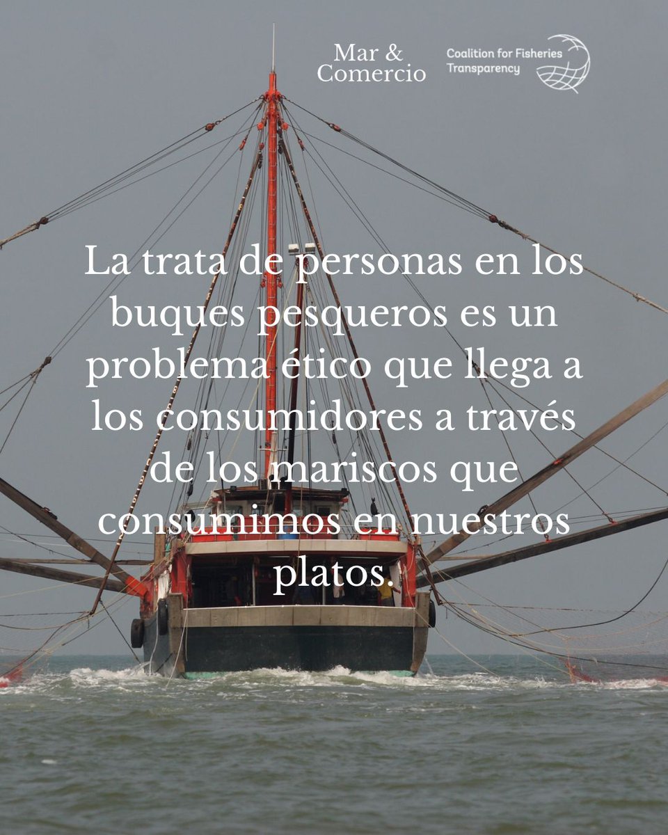 Mar & Comercio tweet media