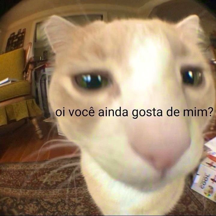 willwill 🚨 (@iamwillwill) on Twitter photo 