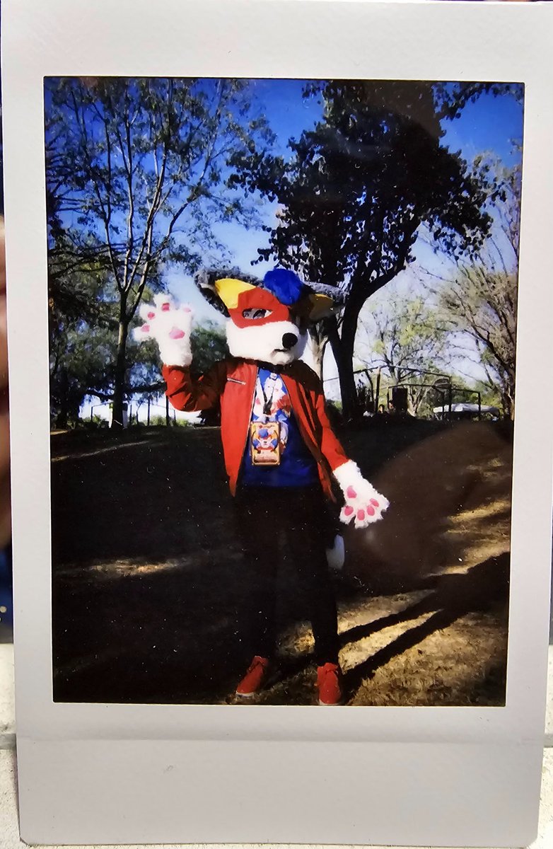 FoxSpeedAJ's tweet photo. Se que ya no es #FursuitFriday pero siempre llego tarde a todos lados, ya se, muy Barry Allen de mi parte🤭 pero aun así, aquí toy🏃⚡️
De la meet pasada unas fotitos📸

#furry #fur #fursona #furries #furryart #furrys #furryfandom #furryflash #theflash #theflashart #confuror https://t.co/WXiJuu0y4U
