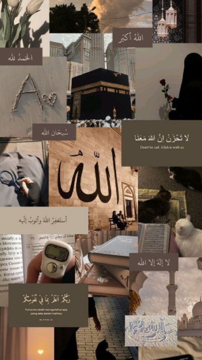 اسلام وعلیکم 🥰 
اللّٰہ پاک اپنے محبوب کے صدقے ہم سب کو اپنے حفظ وامان میں رکھے آمین یارب العالمین ۔۔