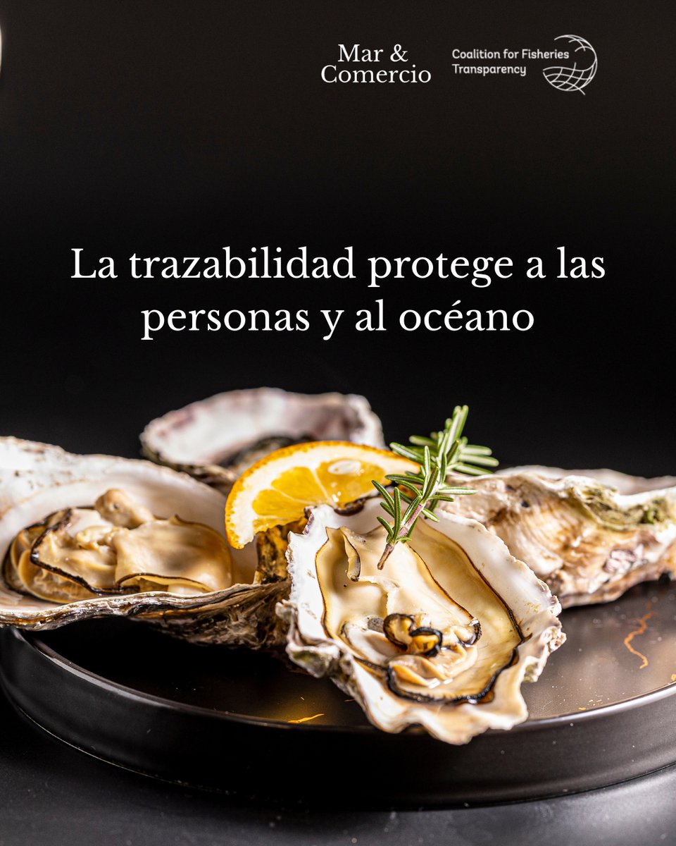 Mar & Comercio tweet media