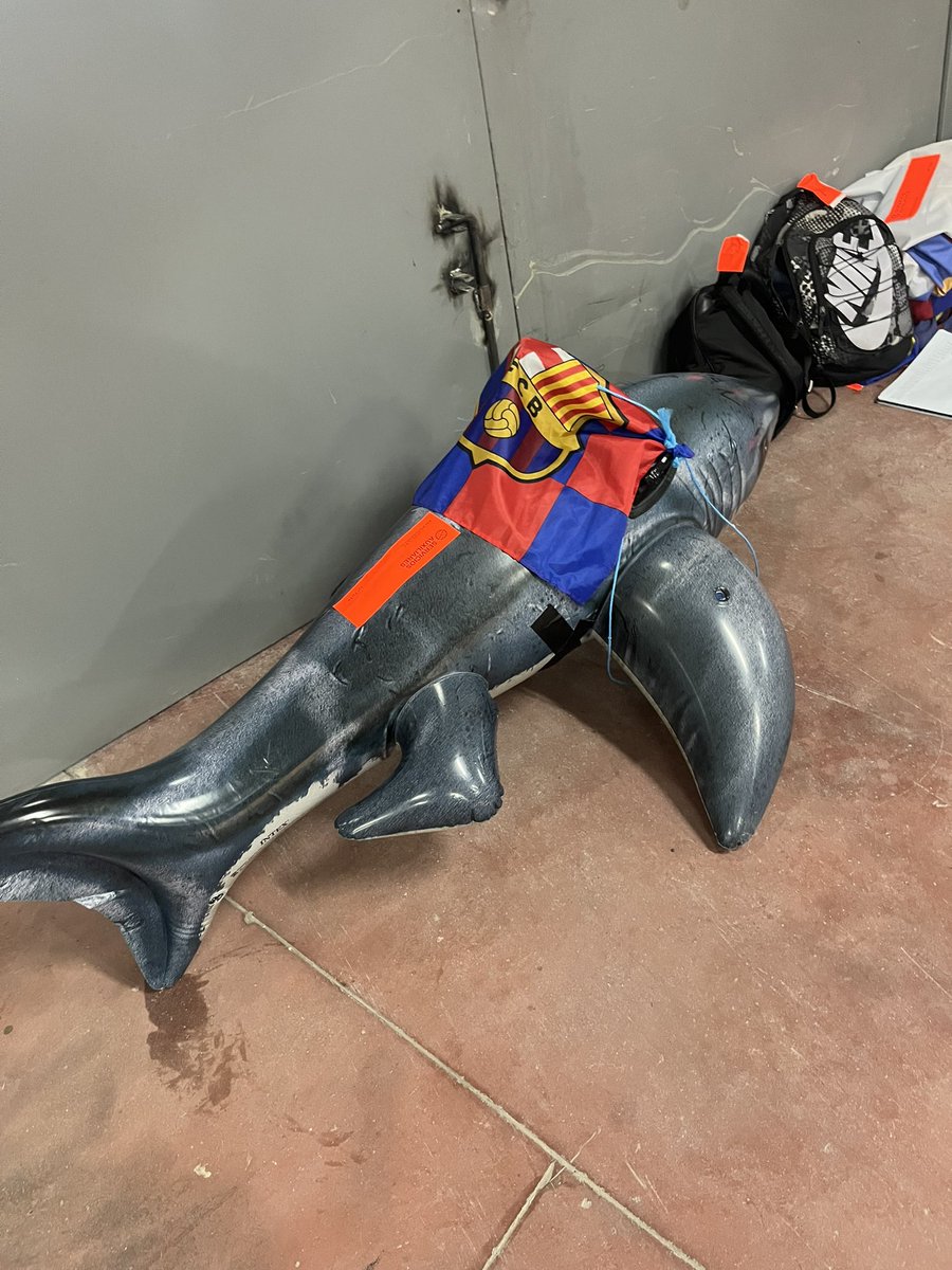 lhan castigat despres