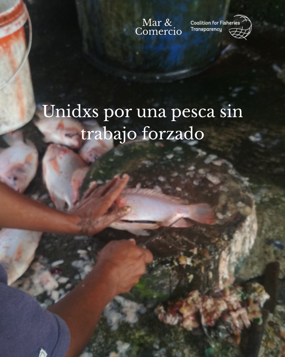 Mar & Comercio tweet media