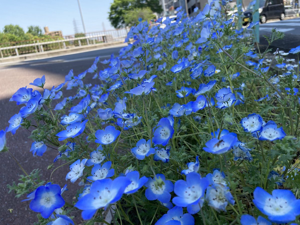ugachanblog's tweet image. おはようございます
休日GWいかがお過ごしですか
晴天に恵まれ風もなく穏やかな日
素敵な1日になりますように🍀✨
朝昨日のモヤモヤはれず
ウォーキングからスタート🚶♀️
爽やかな空気と道の花に癒され
リセット
体を動かすこと大事ですね
簿記問題集でアウトプット
不明点はふくしま先生の動画で😊
