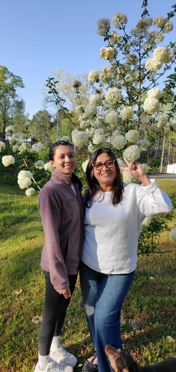 My three years old Snowballs taller than us 🥰 #snowballs #FlowersOnSaturday