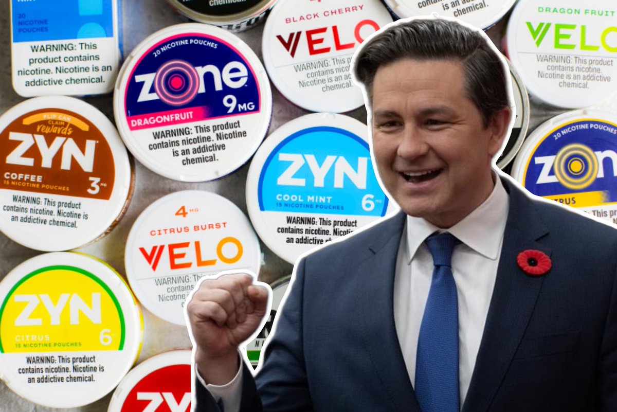 Pierre Poilievre has promised to allow nicotine pouches to be sold at convenience stores in Canada

"Freedom of choice" said the Conservative party 

HUGE W