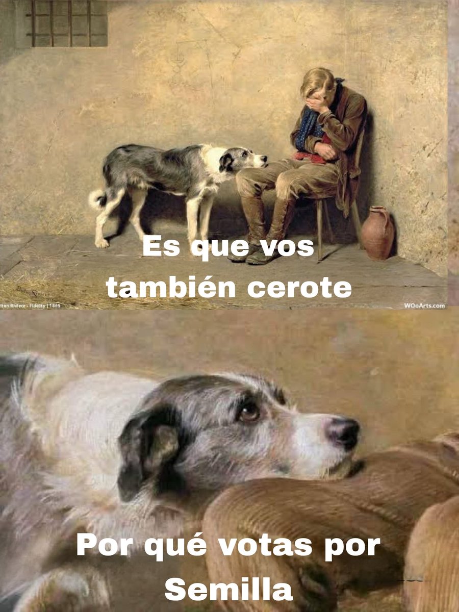 Se les advirtió 🤷🏻