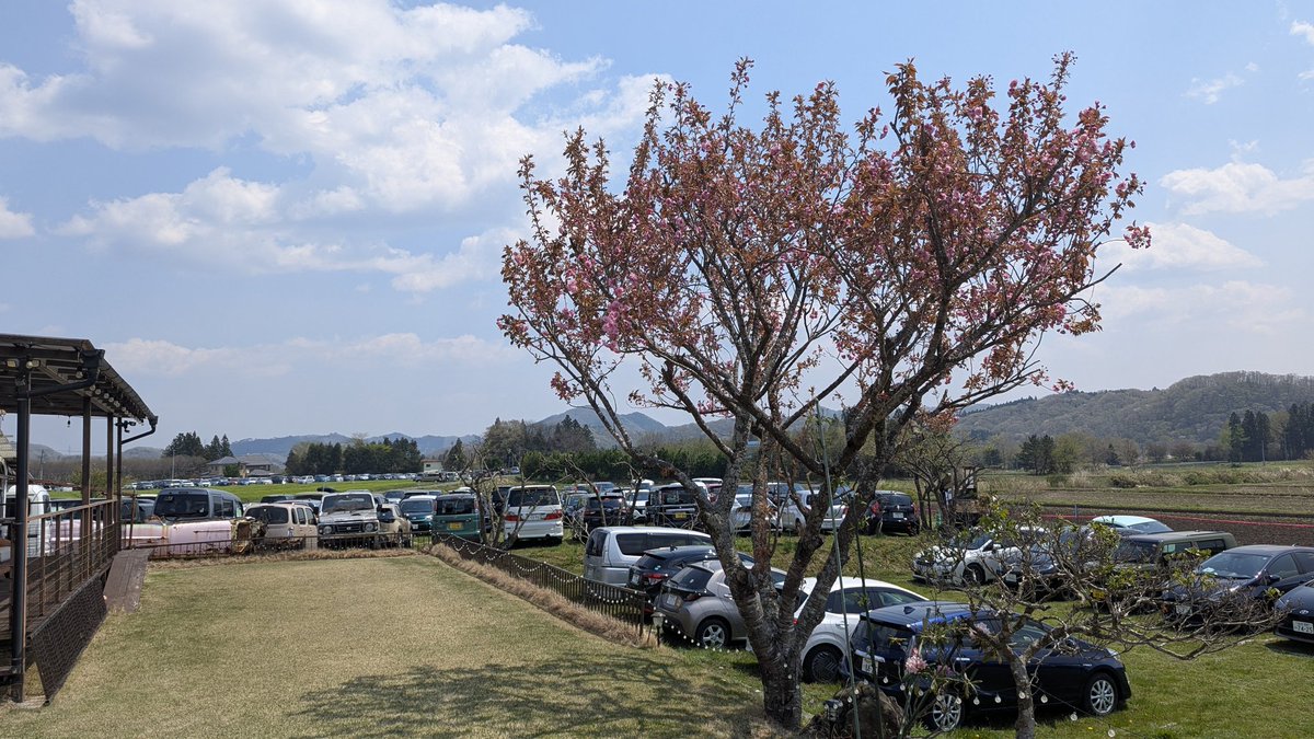kenichi1958's tweet photo. おはようございます
荒吐2日目始まりました😁
駐車場若干空きがございます🚘️
フリーのお客様もお待ちして
おります🅿️
#荒吐 
#アラバキ 
#ARABAKI 
#荒吐駐車場
#荒吐民間駐車場 https://t.co/R9kzz4sDuv