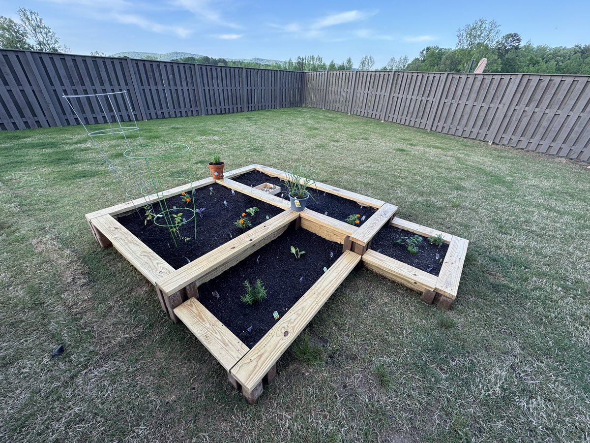 Before &amp; After! 

Now we wait….  🌱