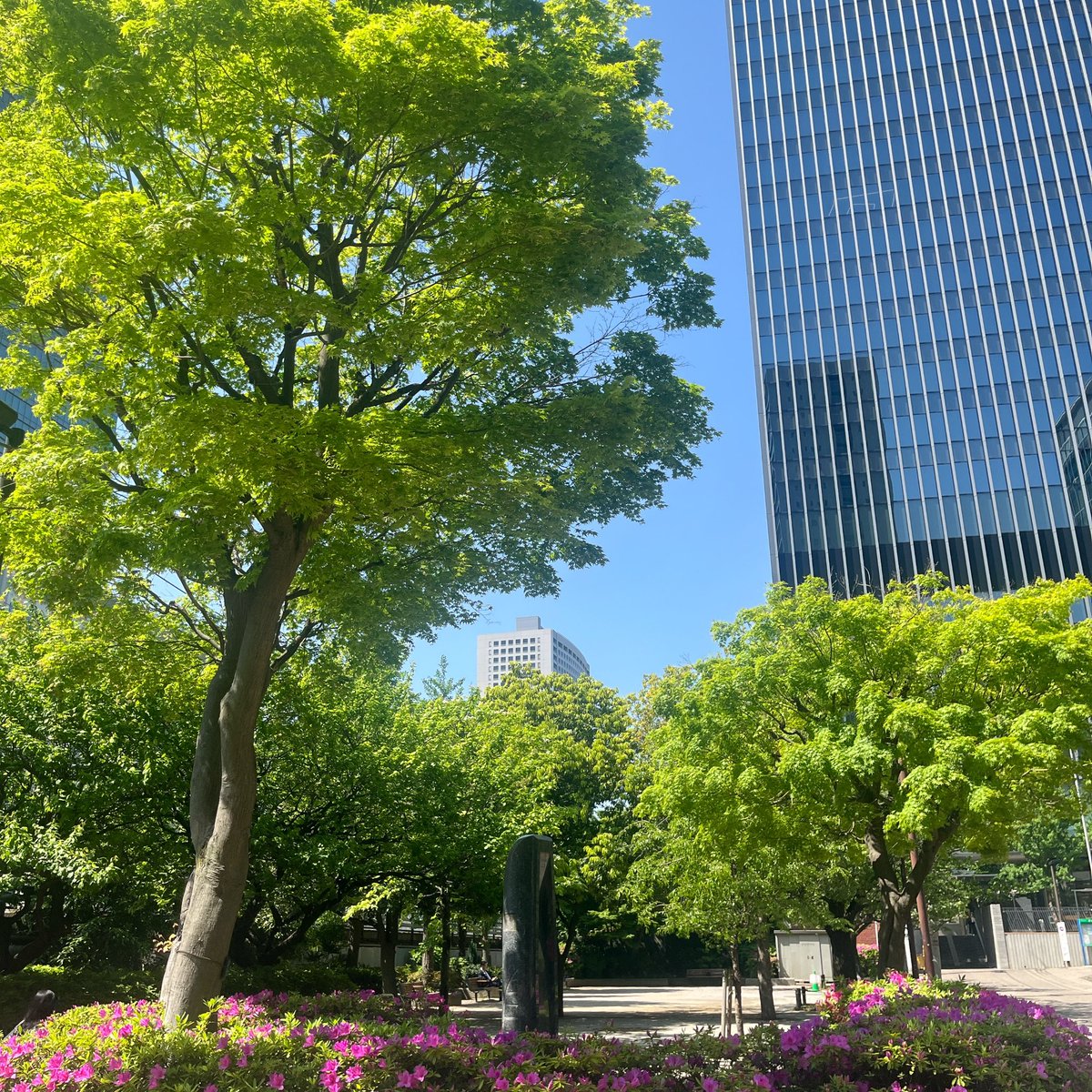 MinatoConf's tweet photo. ＼おはようございます🌱💙／
今日の田町駅は気持ちのいい晴天です😊
新緑とツツジのピンクと青空が、夏の始まりを予感させますね！

本日、13時までは今からでもご案内可能ですので、お気軽にお問い合わせください🌱
#三田 #田町 #会議室
#企業公式が毎朝地元の天気を言い合う https://t.co/pW4bTcT6PT