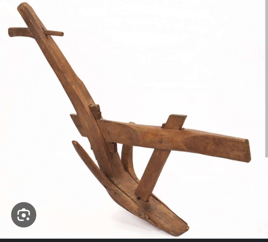 Dr. Tree.Assassin tweet media