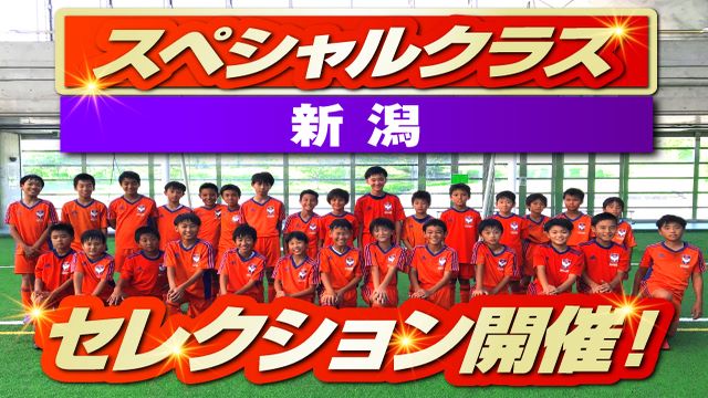 アルビレックス新潟 (@albirex_pr) on Twitter photo #アルビレックス新潟 サッカースクール👦👧
スペシャルクラスセレクション開催‼️
新潟・県央・長岡に会場を設けます🍙
各会場の開催日時や応募方法は⏬️から‼️
保護者のみなさん📣お子さんとGW中に相談してみてくださーい👂️
albirex.co.jp/news/soccer_sc…
#albirex <a href="/albirex_ss/">アルビレックス新潟サッカースクール</a> #アルビレックス新潟 サッカースクール👦👧
スペシャルクラスセレクション開催‼️
新潟・県央・長岡に会場を設けます🍙
各会場の開催日時や応募方法は⏬️から‼️
保護者のみなさん📣お子さんとGW中に相談してみてくださーい👂️
albirex.co.jp/news/soccer_sc…
#albirex <a href="/albirex_ss/">アルビレックス新潟サッカースクール</a>