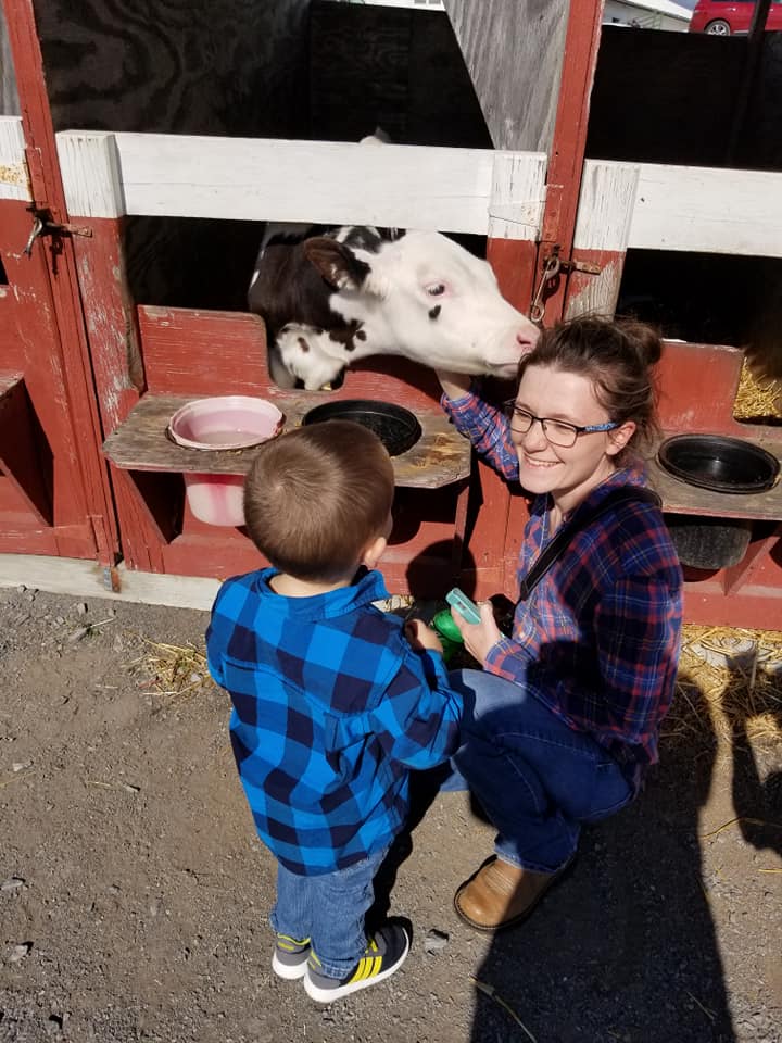 Manifested Search Team tweet media