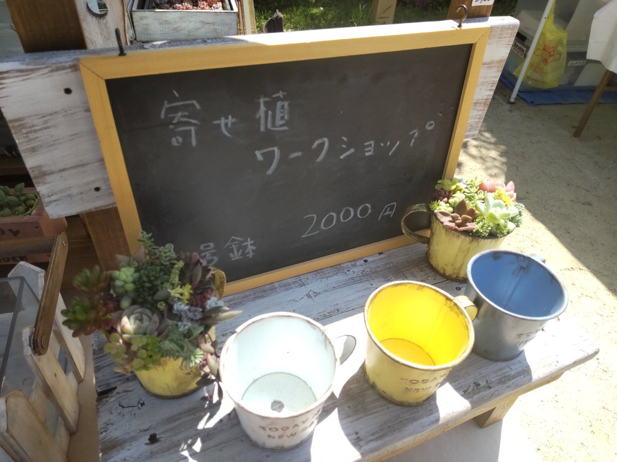 nakapapa2's tweet image. 今日もいなざわ植木まつりでマルシェ出店中です。
多肉植物、ハンドメイド木工鉢、リメイク鉢などを販売しています。
ご来店をお待ちしています。
#BOOW
#多肉植物
#手作り木工鉢
#ハンドメイド
#リメイク鉢
#いなざわ植木まつり
#国府宮
