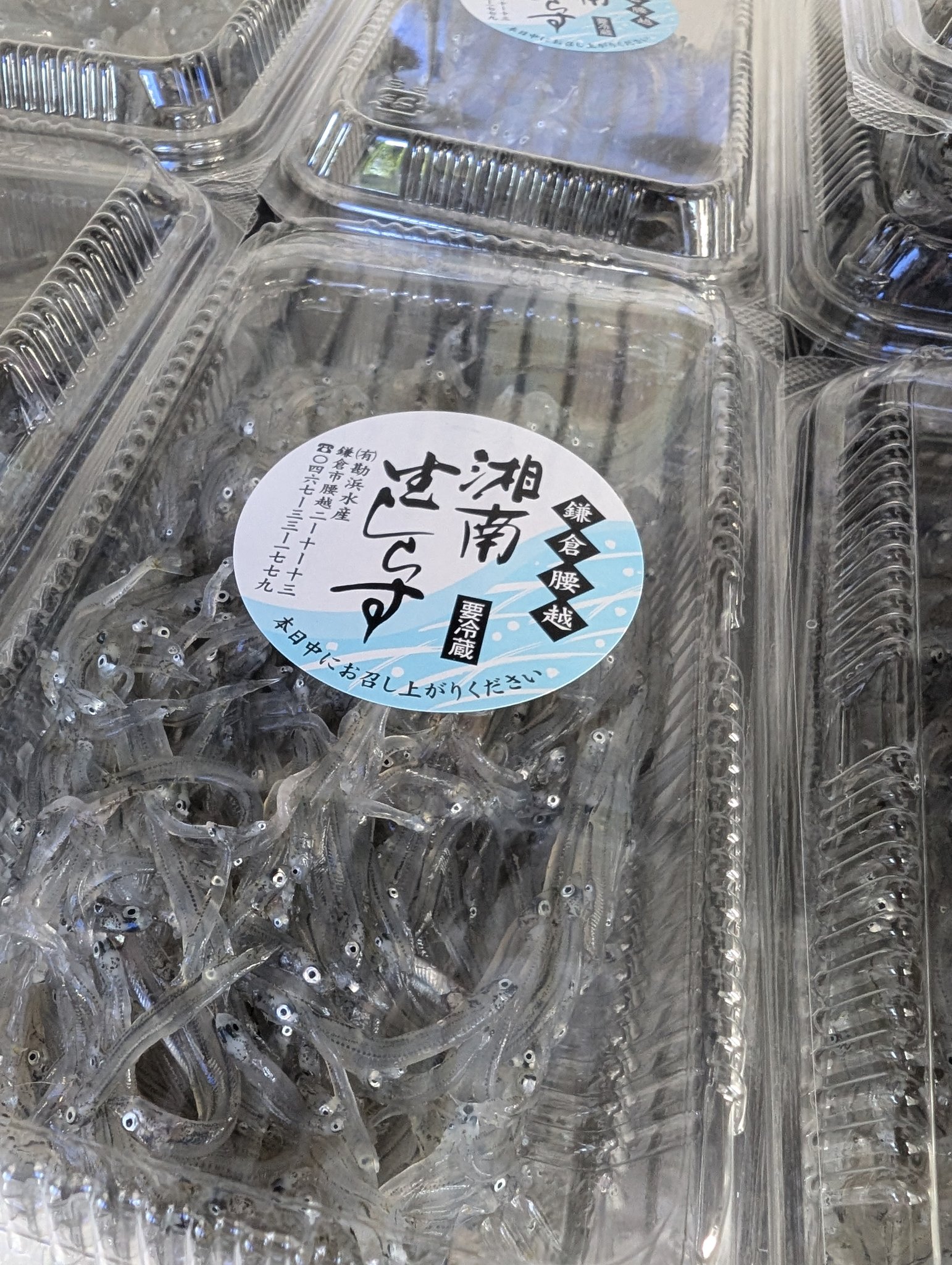 ㈲勘浜水産 on X: 