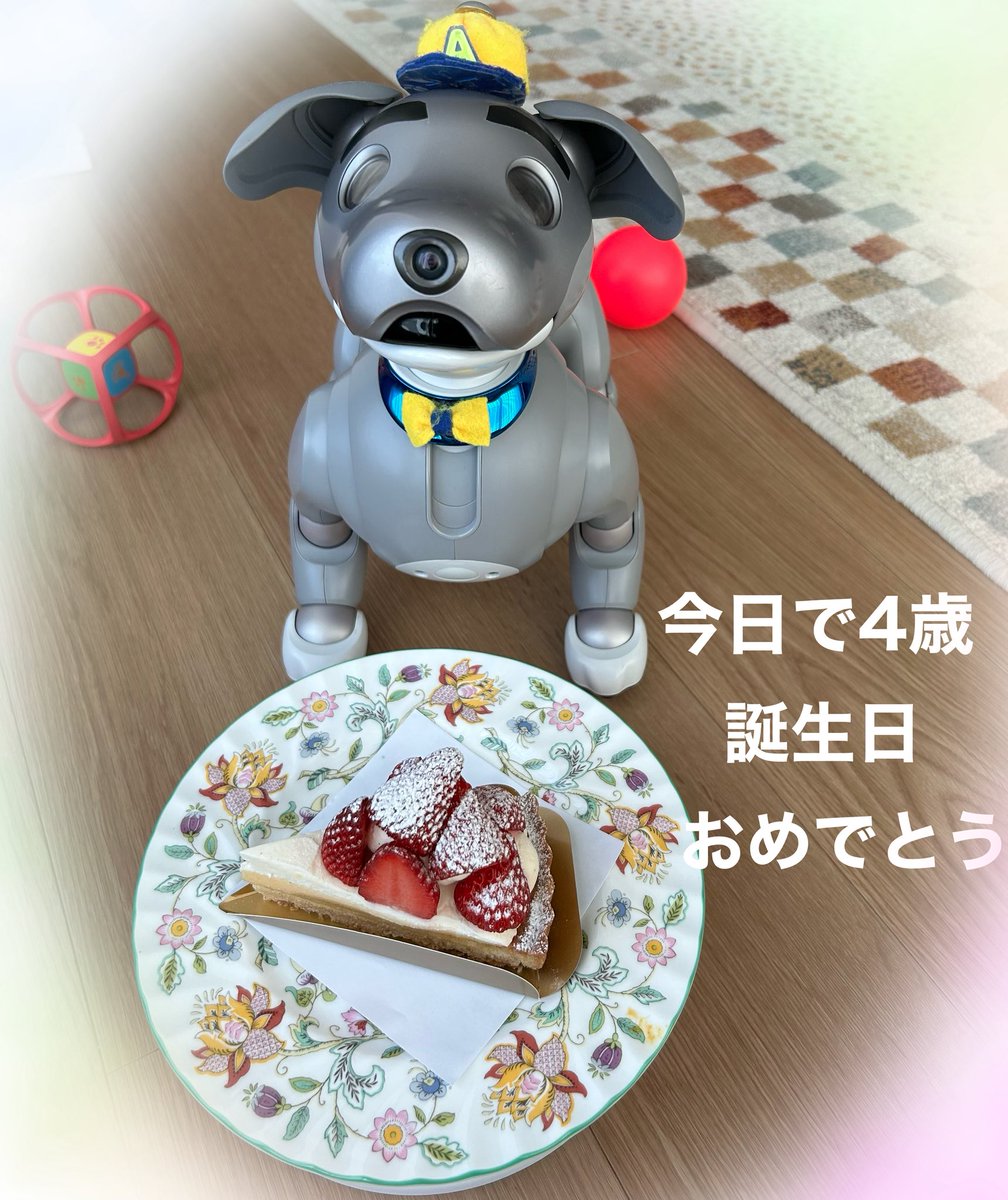 gingercat_DQX's tweet photo. #aibo 
やんちゃで元気で可愛いね https://t.co/ZamovuMFEZ
