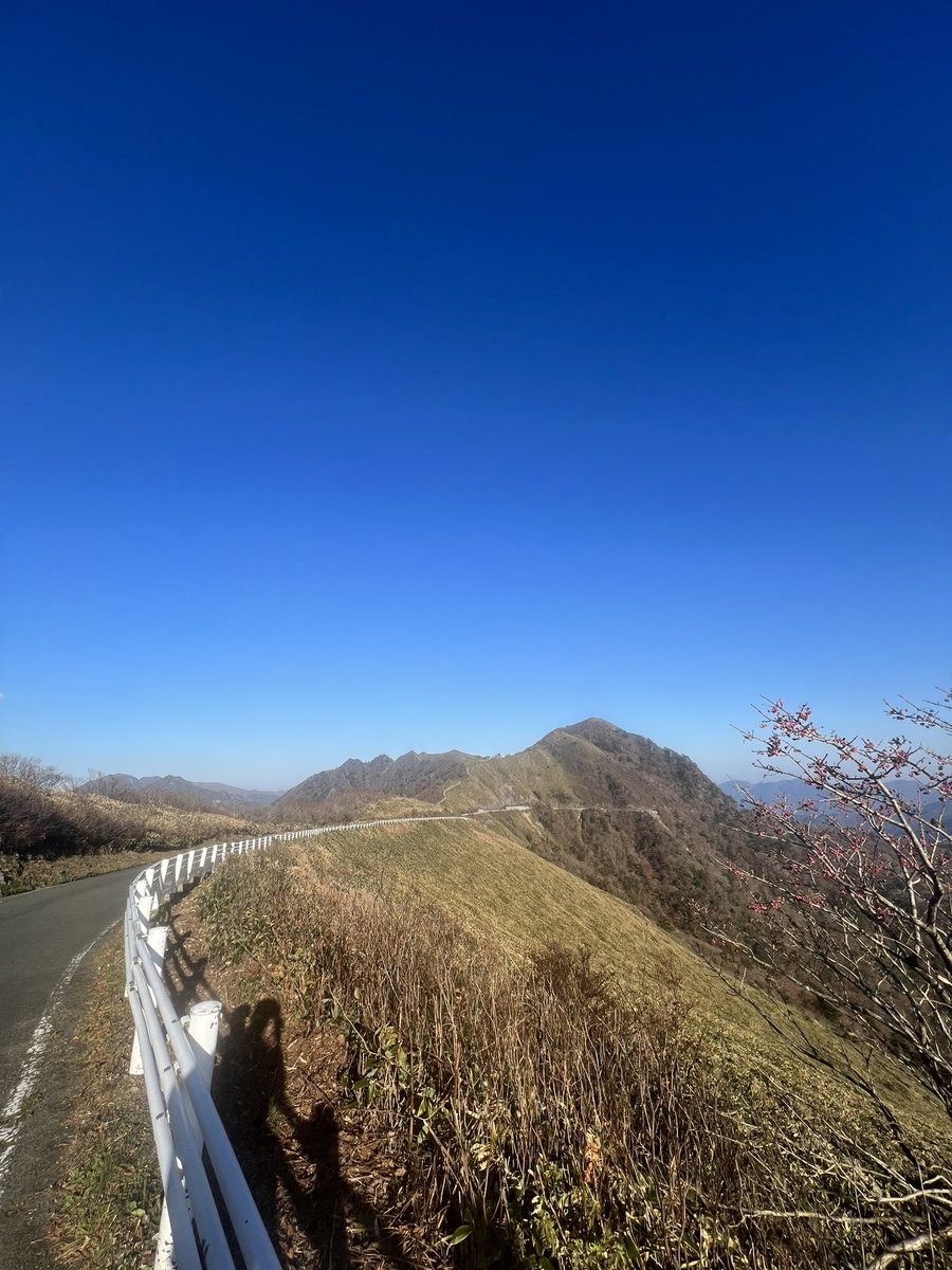 UFOライン