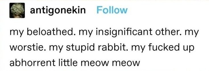 𝖈𝖍𝖆𝖇𝖆𝖟𝖎𝖙𝖊 (@raisinchoirgirl) on Twitter photo 